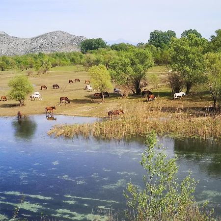 Wild Beauty House Skadar Lake 센틴제 외부 사진