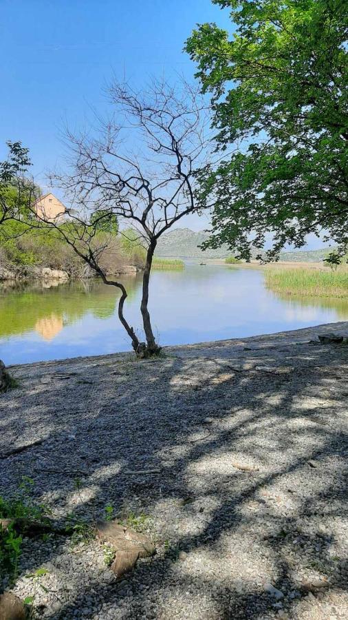 Wild Beauty House Skadar Lake 센틴제 외부 사진