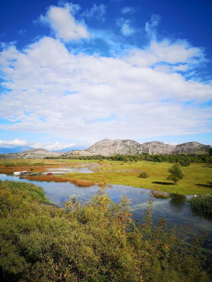 Wild Beauty House Skadar Lake 센틴제 외부 사진
