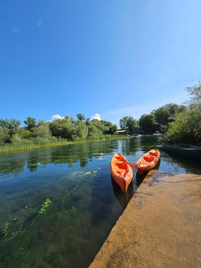 Wild Beauty House Skadar Lake 센틴제 외부 사진